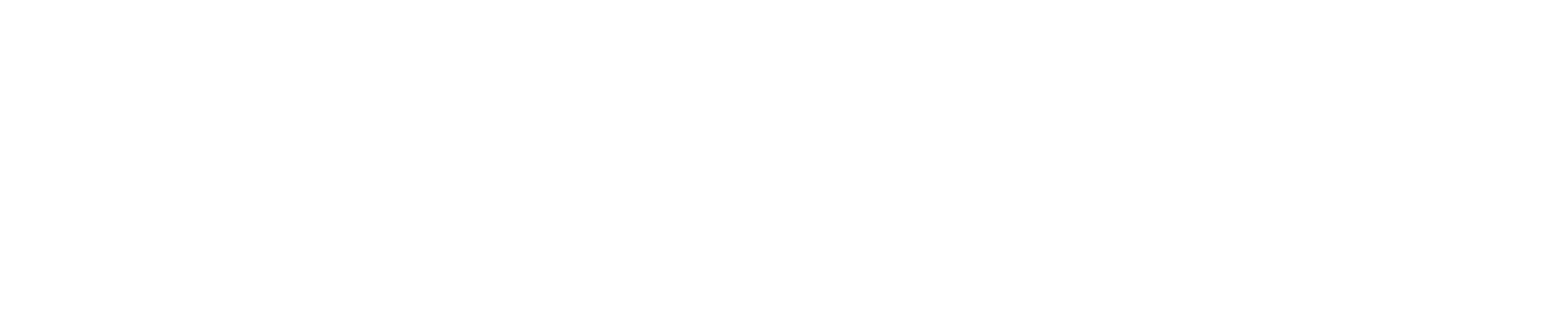 BWSM logo